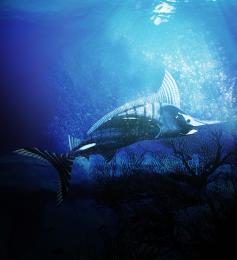 Underwater Solitude...